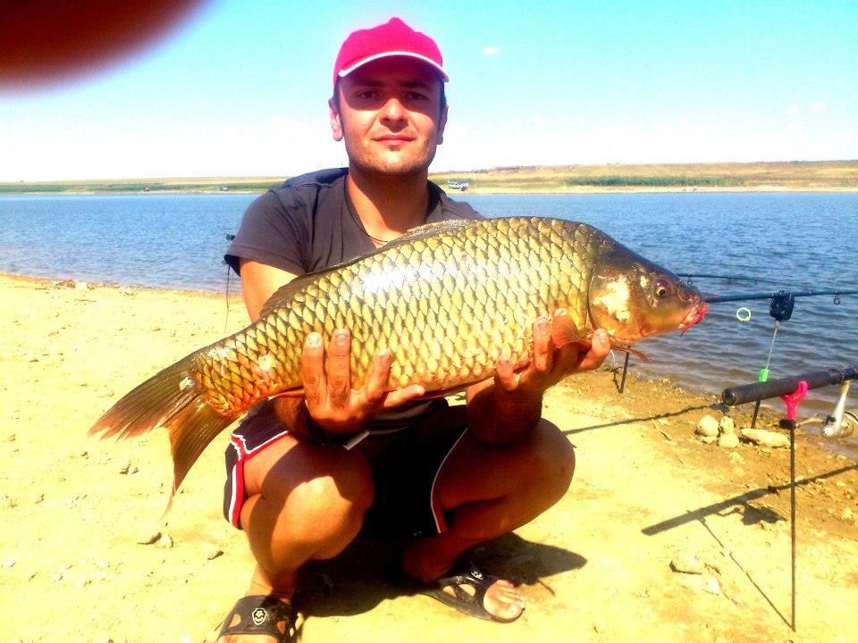 De-a lungul timpului - 249565528326403859666204236947n.jpg